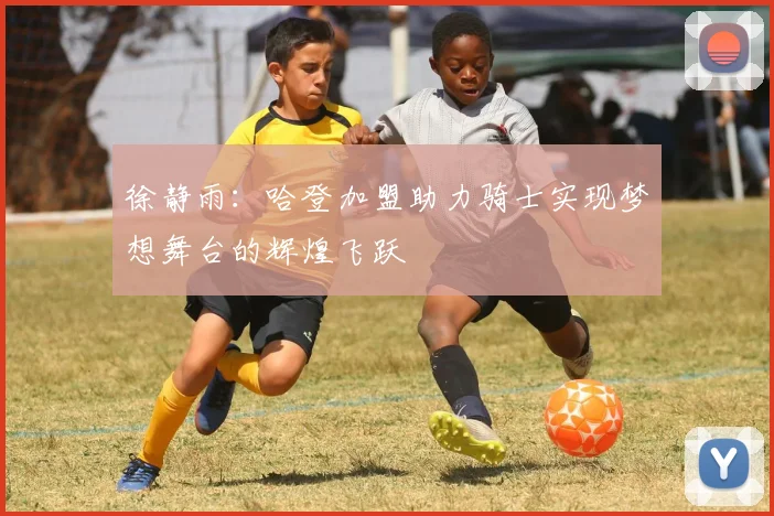 徐静雨：哈登加盟助力骑士实现梦想舞台的辉煌飞跃